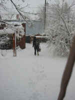 bye_bye_lindsay.jpg (185782 bytes)