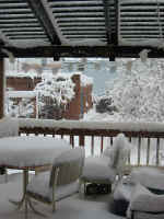 day_one.jpg (229503 bytes)