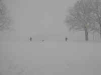 white_out.jpg (54657 bytes)