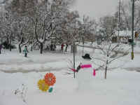 bertha_wp.jpg (179798 bytes)