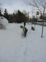 erin_digs.jpg (83530 bytes)