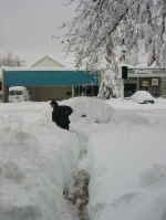 lc_digs.jpg (111466 bytes)