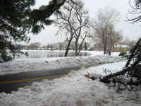 wash_park_north.jpg (226761 bytes)