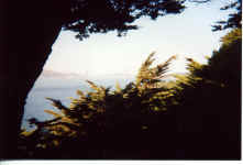 woods_golden_gate.jpg (271082 bytes)