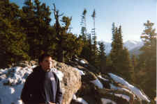 shiv.jpg (341080 bytes)