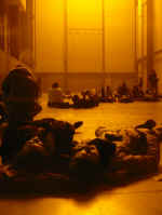 tate_glow.jpg (136147 bytes)