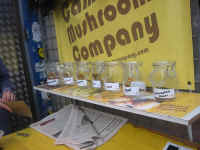 variety.jpg (147725 bytes)