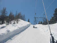 shiv_on_arse.jpg (122522 bytes)