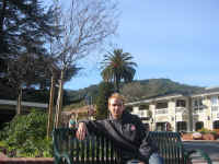 me_palm_tree.jpg (192679 bytes)