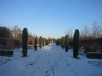 rp_snow.jpg (95229 bytes)