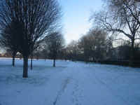 rp_spaces.jpg (182533 bytes)