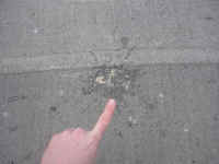 dublin_puke.jpg (187052 bytes)