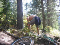 mike_pukes.jpg (272512 bytes)