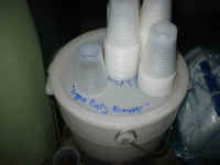 panty_drop.jpg (74076 bytes)