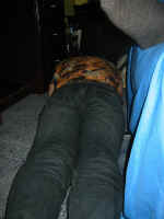 jb_floor.jpg (127946 bytes)