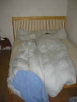 kt_morning.jpg (95406 bytes)