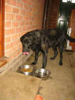 busby_shiny.jpg (147347 bytes)