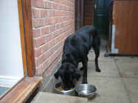 busby.jpg (137370 bytes)