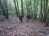 clambering.jpg (274854 bytes)